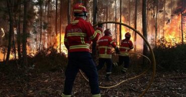 Les températures élevées provoquent des incendies de forêt à divers endroits