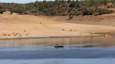 La sécheresse touche presque tous les districts du Portugal