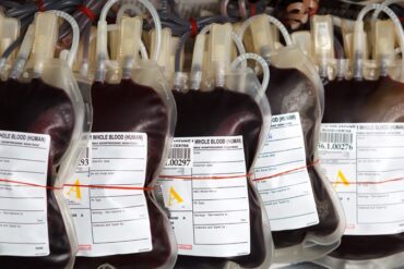 Le Parlement vote à l’unanimité l’interdiction des discriminations en matière de dons de sang