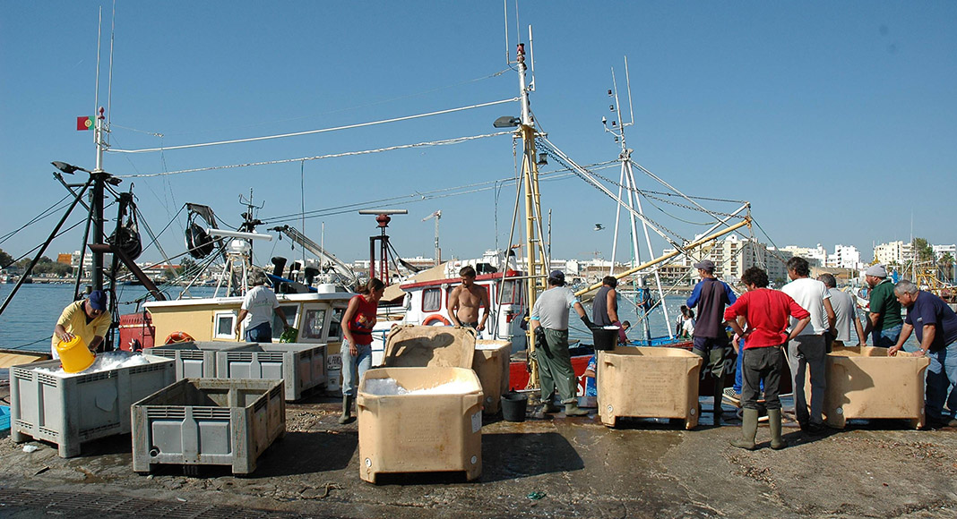 La crise de la pêche en Algarve se profile en raison de la hausse des prix du carburant