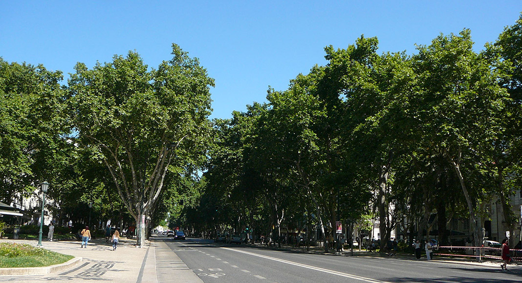 Avenida da Liberdade à Lisbonne