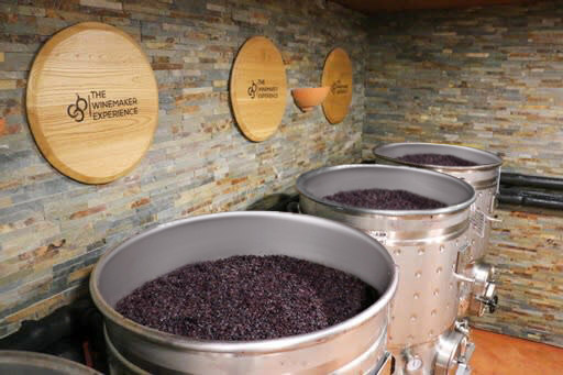 macération-the-winemaker-experience-quinta-vales