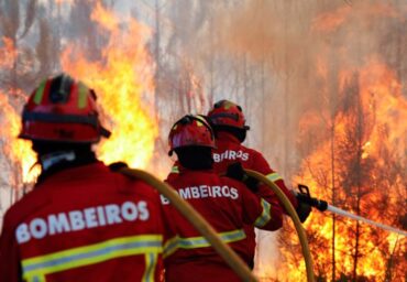 Les incendies sont devenus « plus intenses », avertit un expert