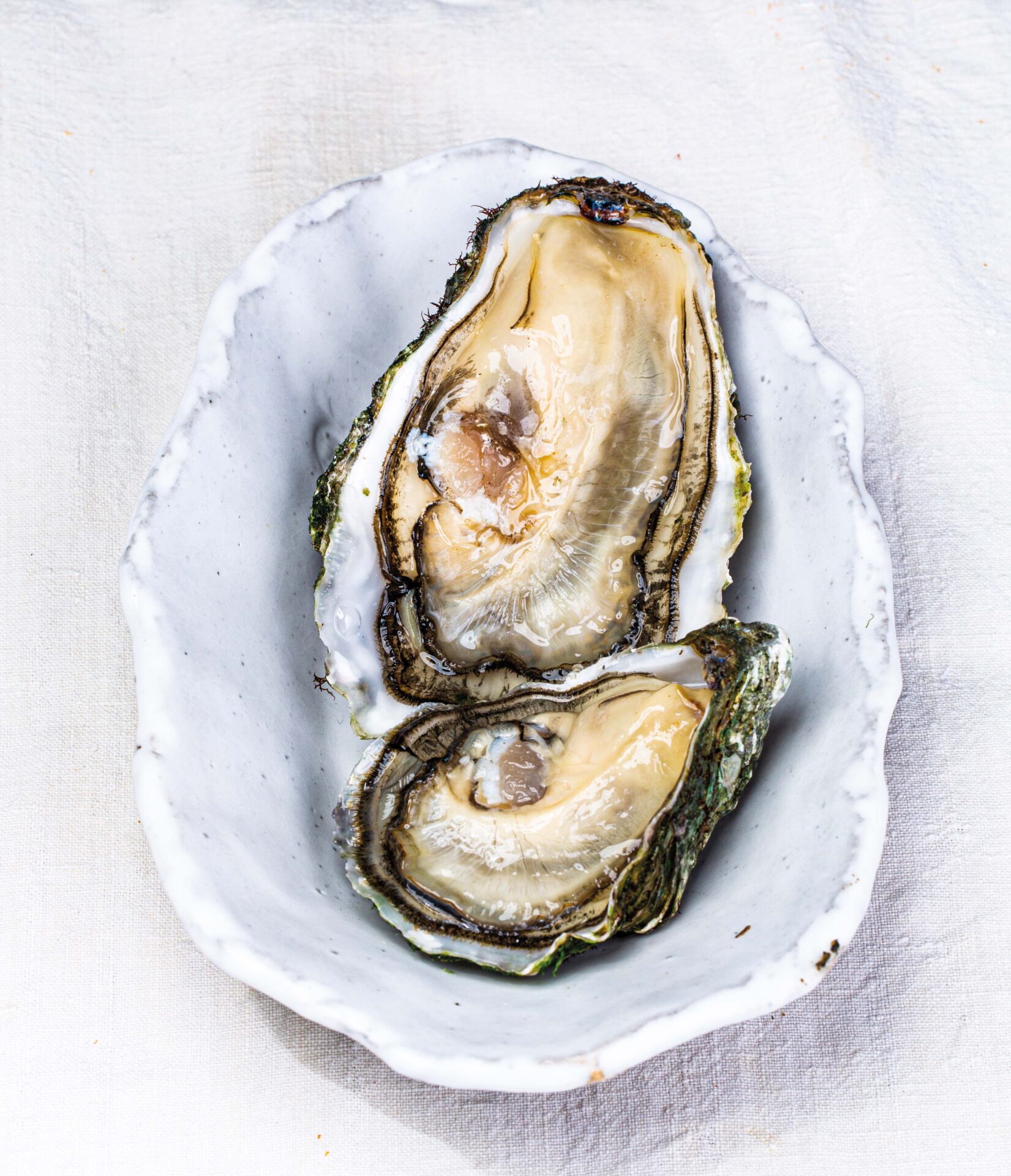 Les huîtres exquises d'Ostra Select prennent la route avec un nouveau service de restauration