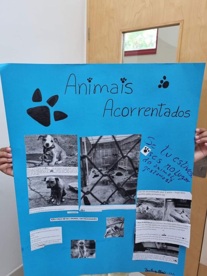 Les étudiants d'Almancil créent de l'art au profit du bien-être animal