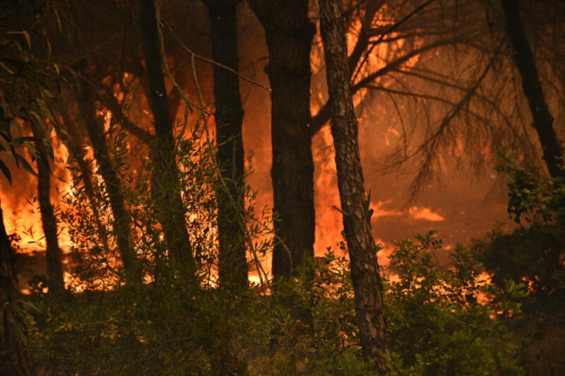 « Préparez-vous au pire » : Marcelo prédit « une année très difficile » pour les incendies de forêt