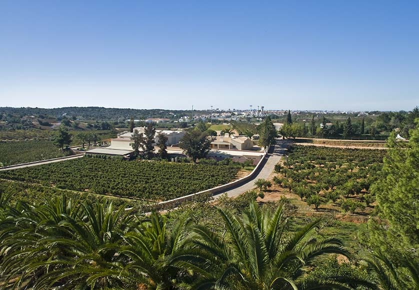 quinta-dos-vales-domaine-viticole-vignoble-algarve