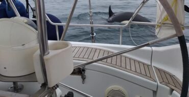 « Attaque » du voilier d’Orcas : un scientifique d’Aveiro propose une explication
