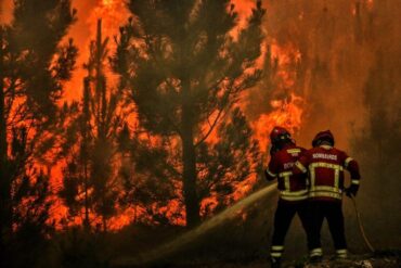 Des centaines de pompiers combattent un incendie de forêt dans la Serra de Montejunto