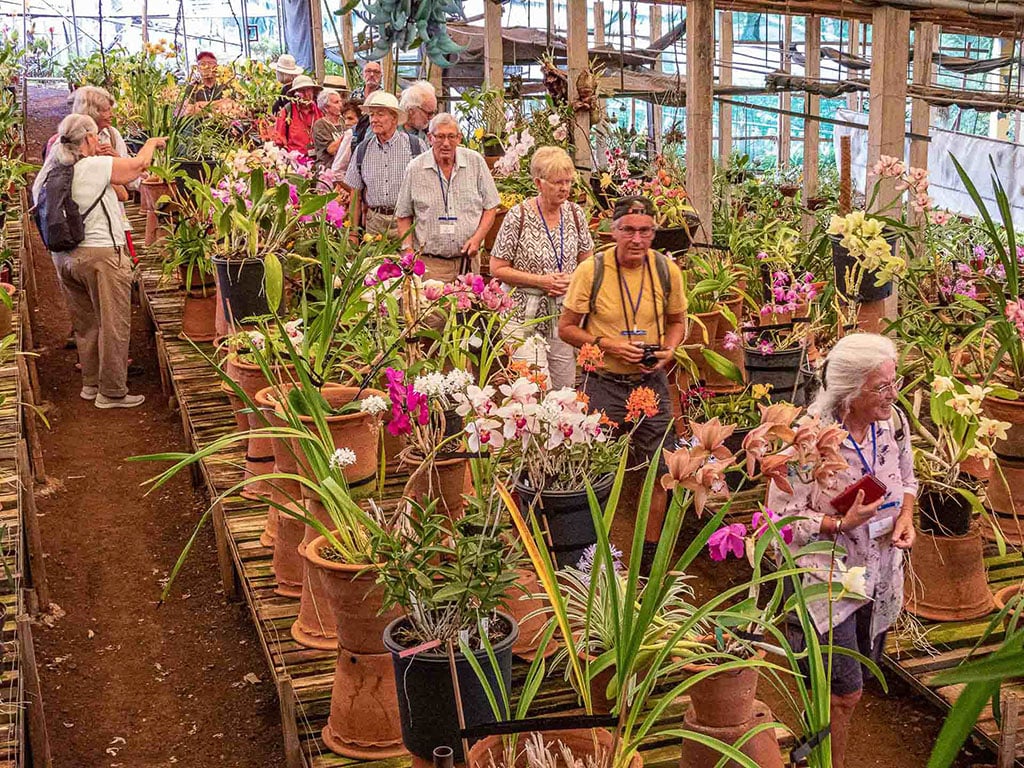 Jardinier de l'Algarve chez un producteur d'orchidées à Madère