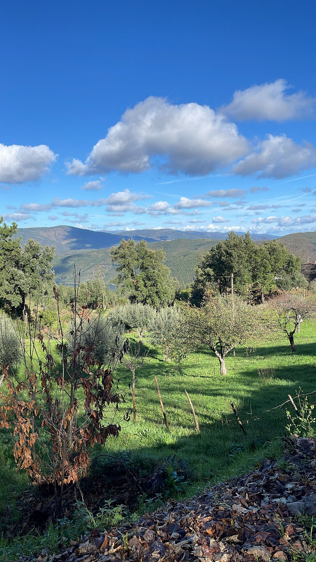 Vue campagne vers la Serra da Estrela