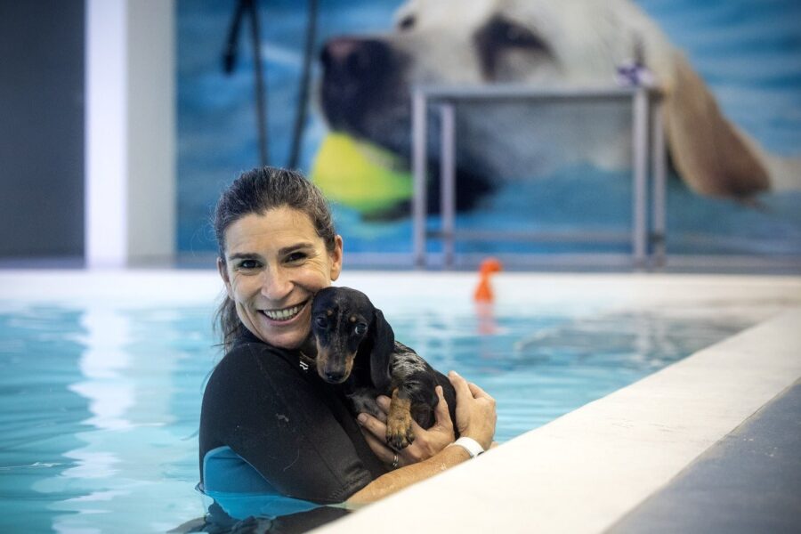 Les hôtels pour animaux de compagnie à Porto sont complets pour Noël et le Nouvel An