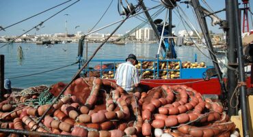 Les pêcheurs portugais voient les quotas augmenter pour le maquereau, la lotte, la plie et le fourreau noir