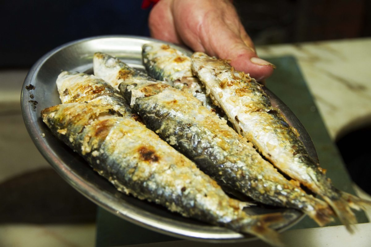 Le Festival de la sardine à Portimão Vivre le Portugal