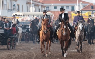 Ce weekend: La foire du cheval à Golegã