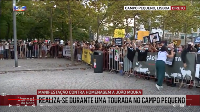 Plus de 1 000 personnes à Lisbonne pour protester contre le torero qui a laissé 18 lévriers mourir de faim