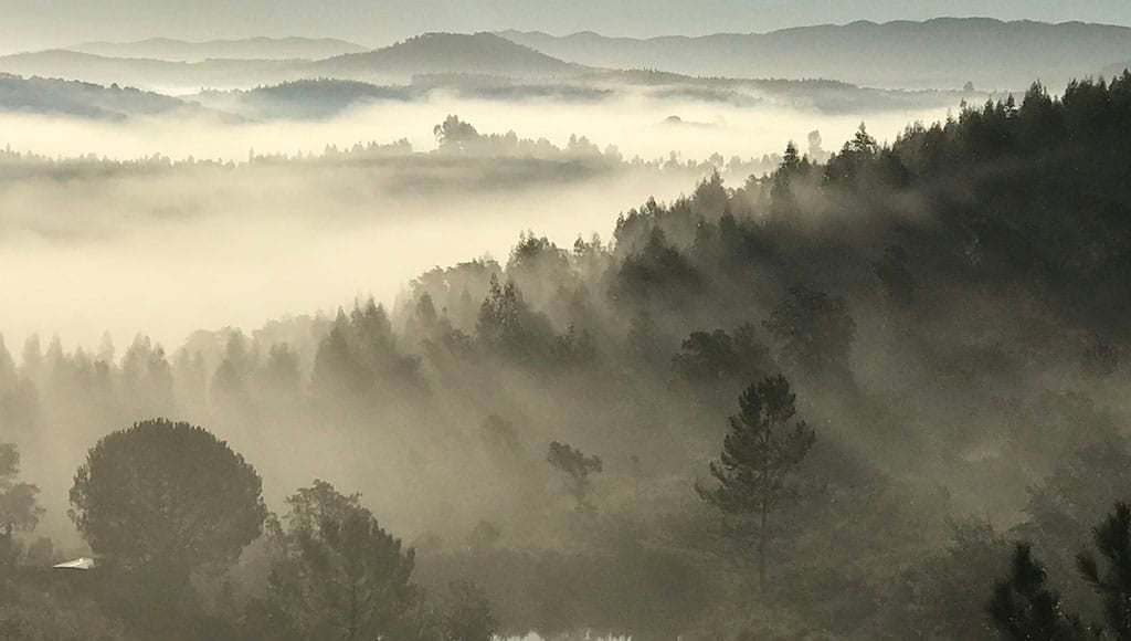 Une vue matinale brumeuse sur la vallée