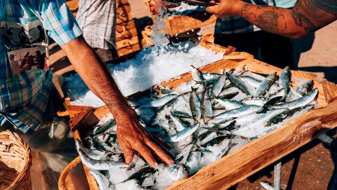 Portimão attend avec impatience la reconstitution des anciens rituels de déchargement des sardines.3