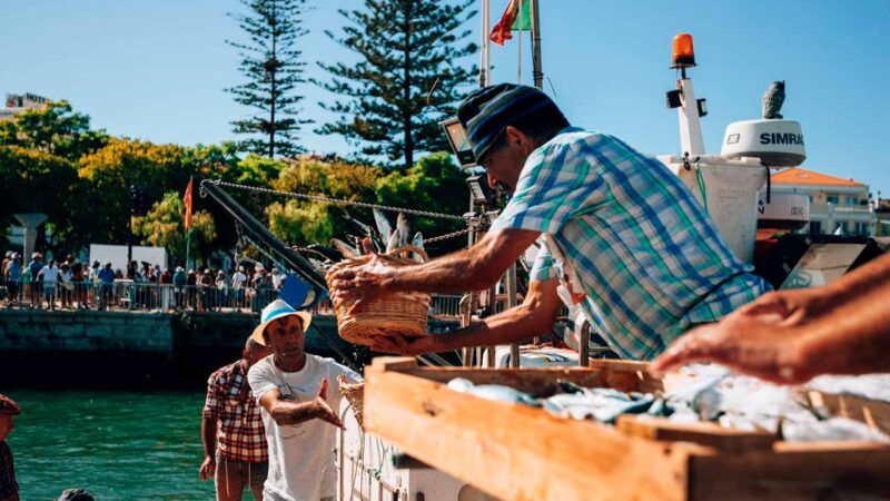 Portimão attend avec impatience la reconstitution des anciens rituels de déchargement des sardines