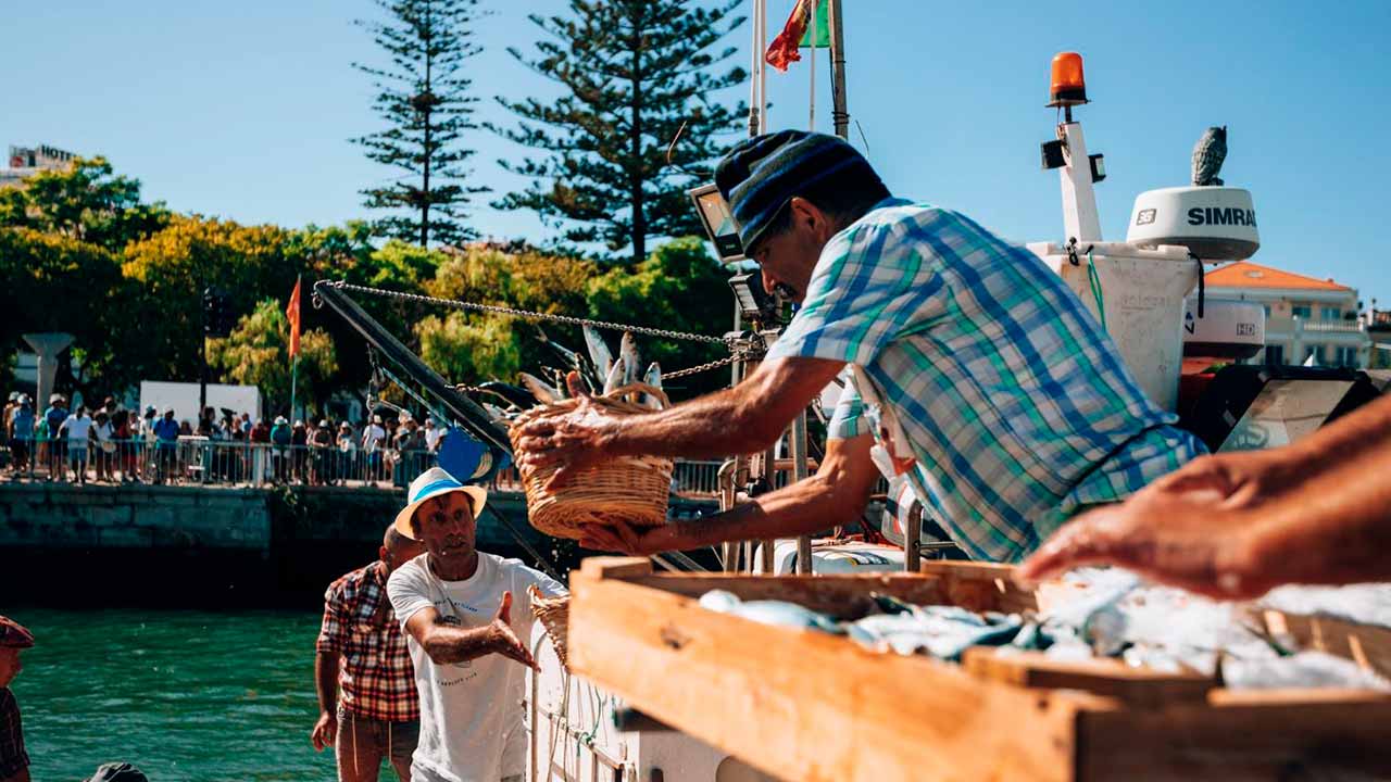 Portimão attend avec impatience la reconstitution des anciens rituels de déchargement des sardines