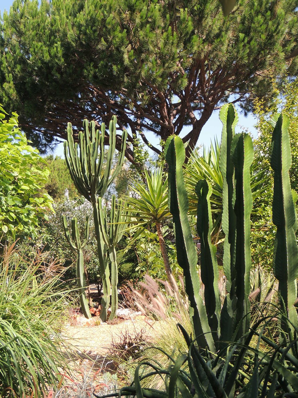 Jardin de Quinta do Lago