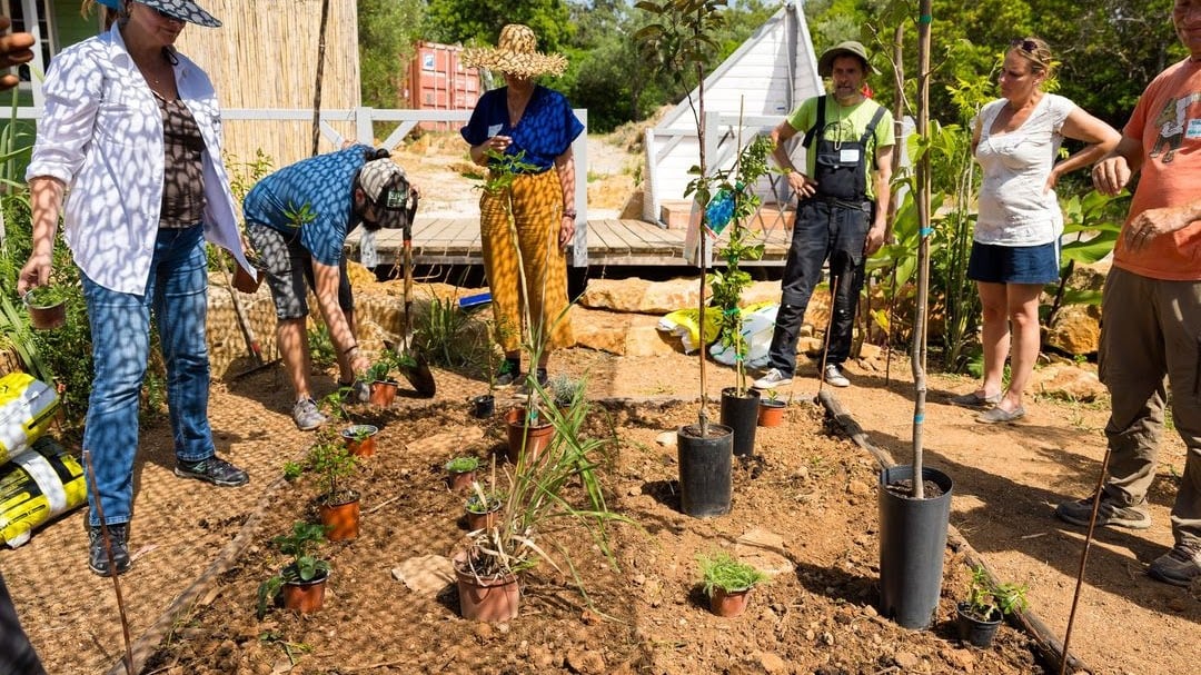 "Forêt comestible" Un projet s'épanouit en Algarve