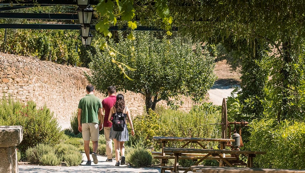 Quinta da Roeda - Centre des visiteurs