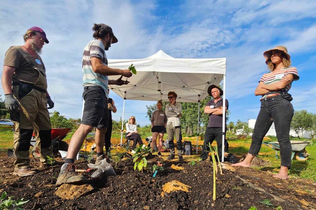 "Forêt comestible" Un projet s'épanouit en Algarve