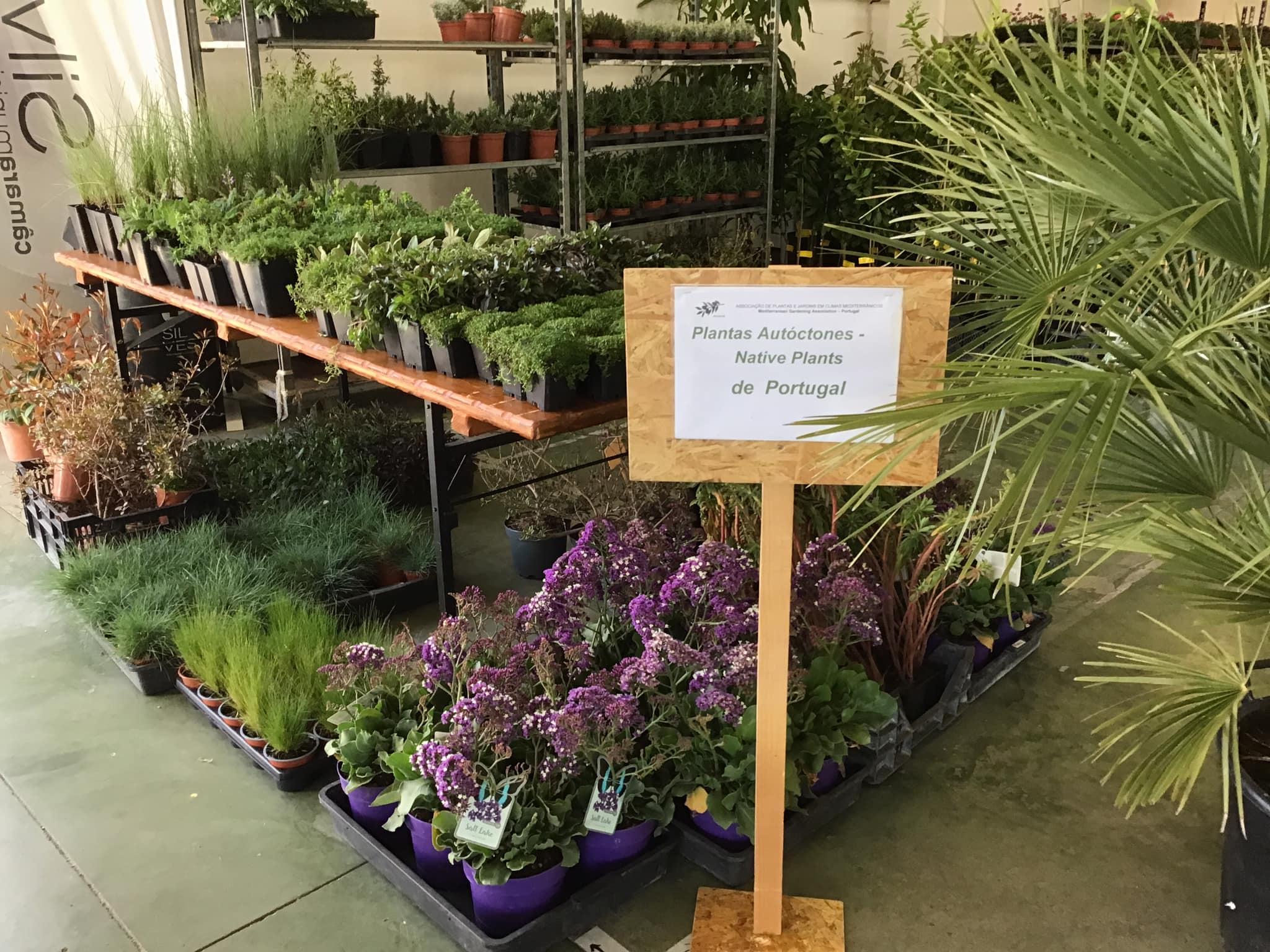 La foire du jardinage méditerranéen arrive à Lagoa.2