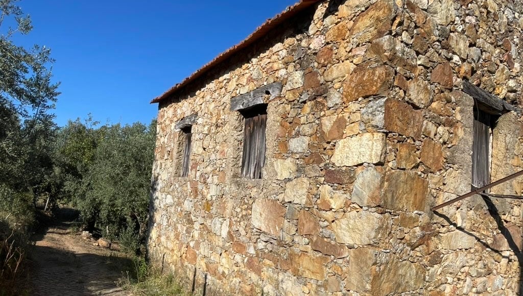 Achetez et rénovez vous-même cette ancienne ferme, 42 500 € près de Figueiró dos Vinhos, Leiria