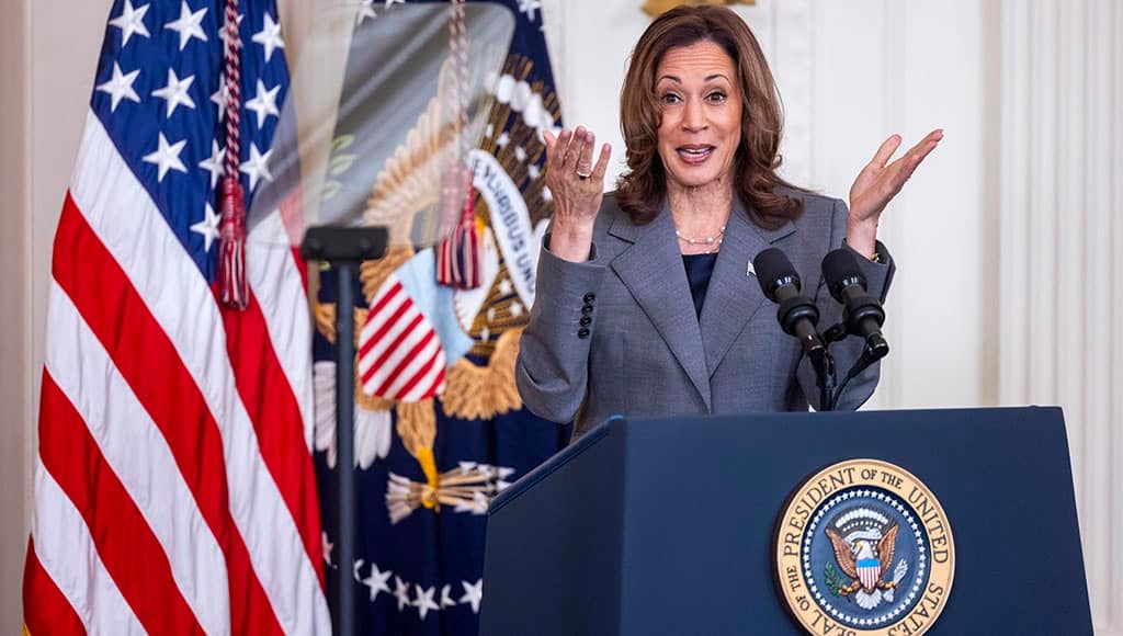 Vice-présidente américaine Kamala Harris – Photo : EPA/SHAWN THEW