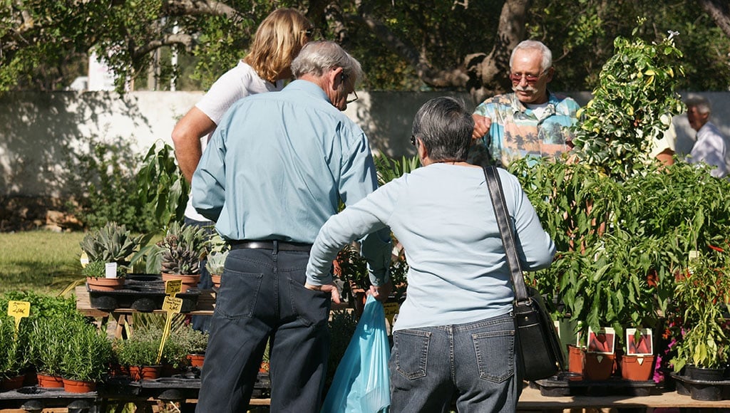 Faire du shopping à la foire du jardin