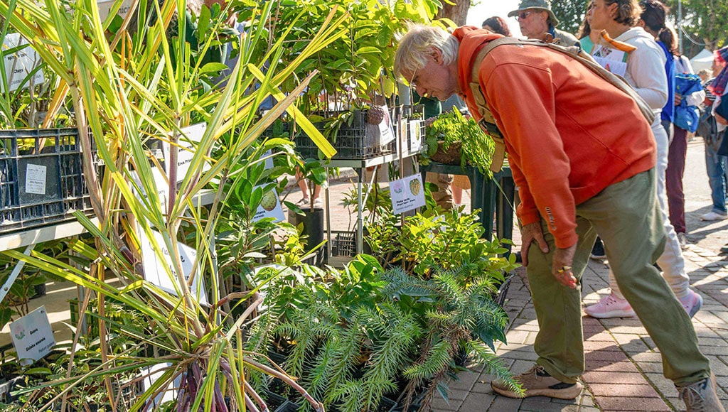 Pléthore d'arbres et de plantes parmi lesquelles choisir