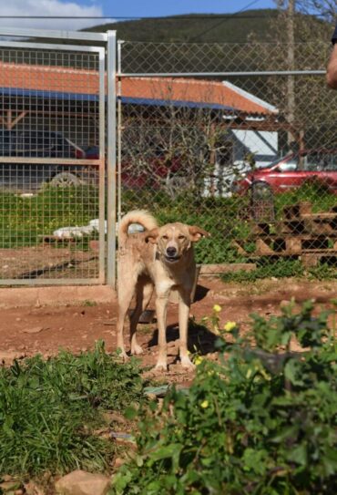 Coin des animaux : Ne mordez jamais la main qui vous nourrit…