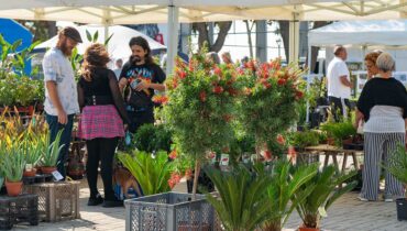 Des milliers d’amateurs de jardins se rendent à Fatacil pour la Foire des Jardins d’Automne