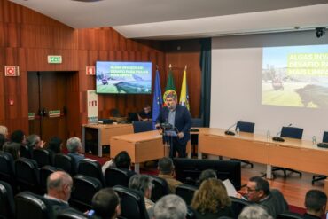 Problème ou opportunité ? Discussion sur les algues envahissantes à Lagos