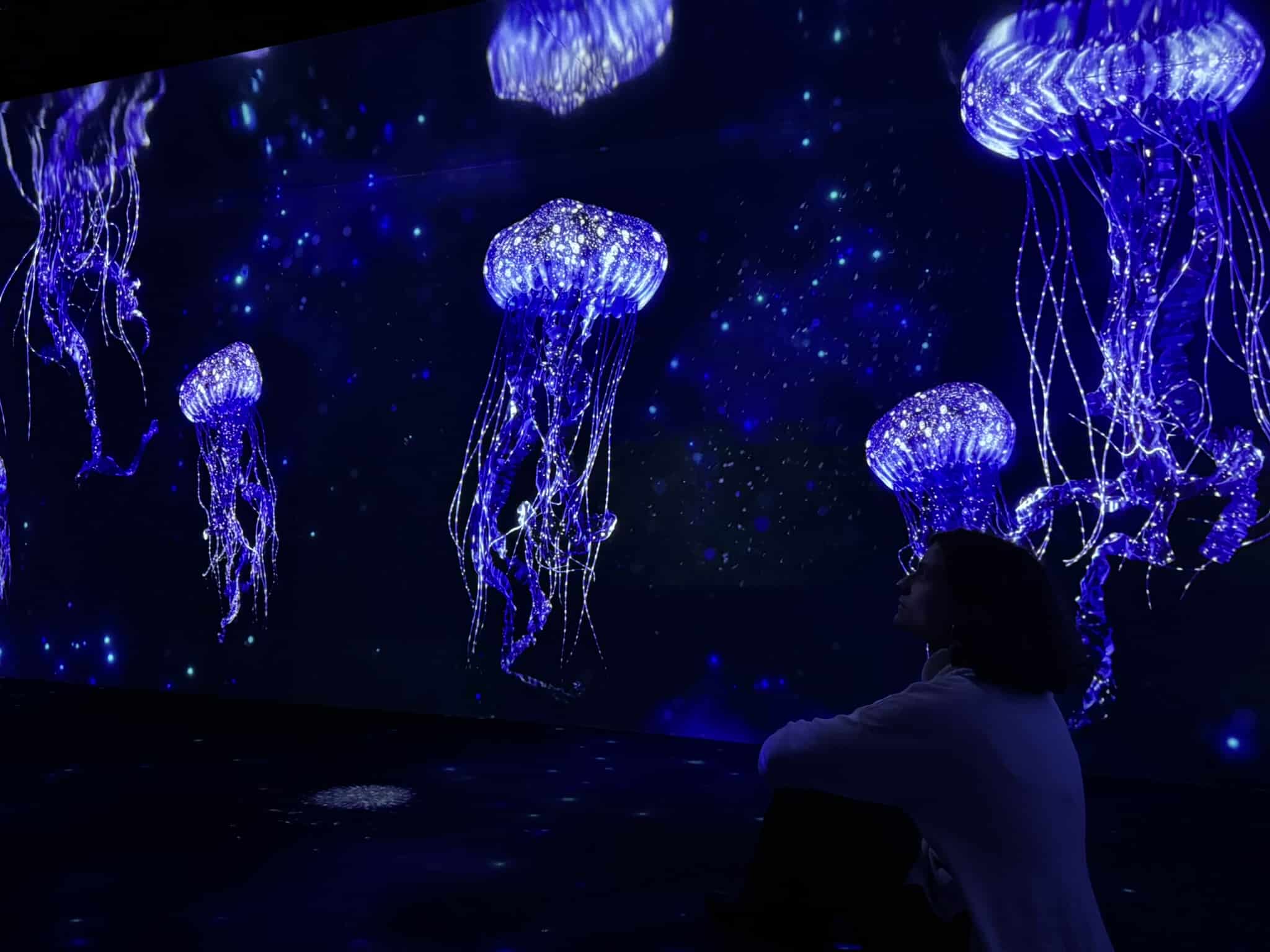 « Univers submergé » dévoilé à l'Océanarium de Lisbonne