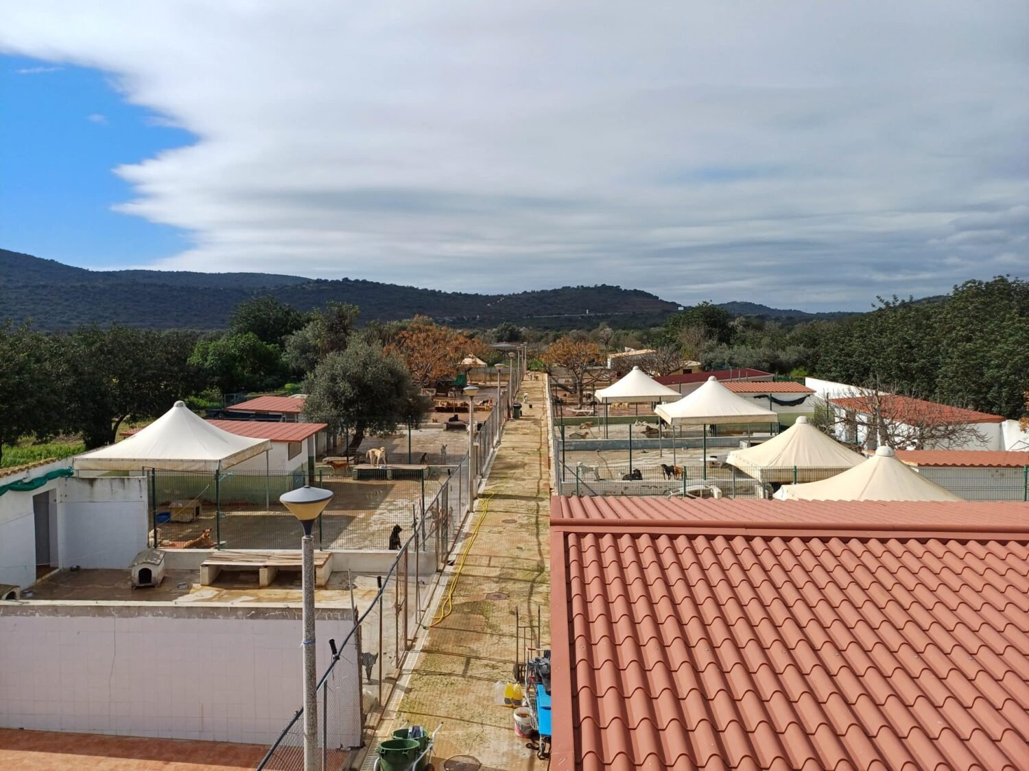 Canil São Francisco de Assis Loulé - Foto Michael Bruxo (3)