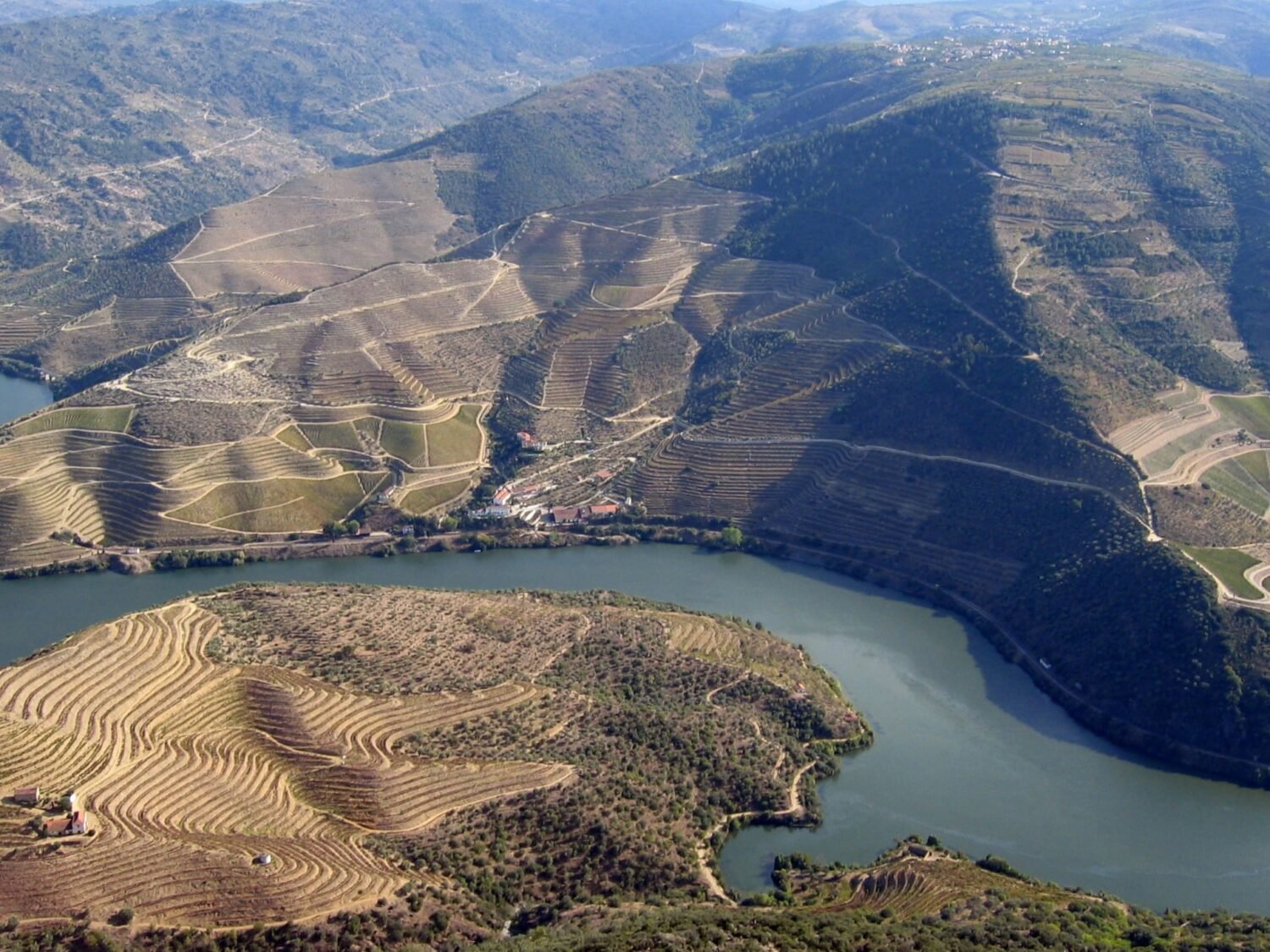 Vignoble de montagne