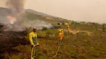 Des expatriés bangladais en première ligne contre les incendies au Portugal Des expatriés bangladais en première ligne contre les incendies au Portugal