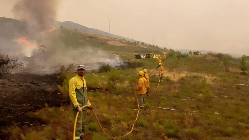Des expatriés bangladais en première ligne contre les incendies au Portugal