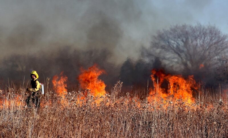 Incendies dans le nord et le centre : 3 200 pompiers mobilisés ce matin