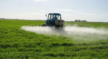 L’agriculture portugaise menacée par l’interdiction des pesticides L’agriculture portugaise menacée par l’interdiction des pesticides