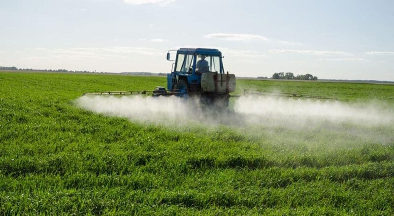 L’agriculture portugaise menacée par l’interdiction des pesticides