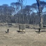 Incendie en Algarve occidental : « Évitez les randonnées et la circulation en forêt »
