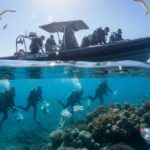 Des plongeurs mobilisés pour nettoyer le parc marin protégé de l’Algarve