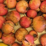 La passion de la grenade : recettes, bienfaits et racines anciennes