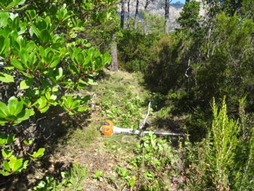 Des détenus mobilisés contre les feux de forêt Des détenus mobilisés contre les feux de forêt