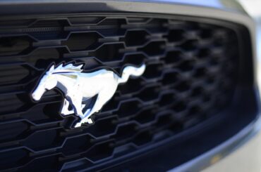 Rassemblement Mustang à Faro