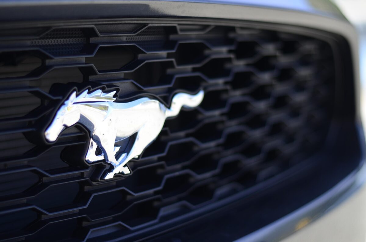 Rassemblement Mustang à Faro